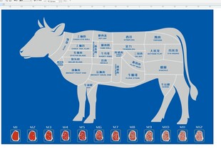 和牛 部位 分解