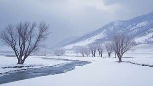 雪原风采