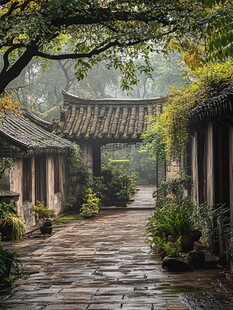 雨中四合院