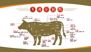 牛肉分割图 