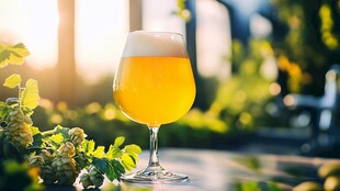 啤酒厂精酿啤酒