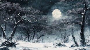 手绘雪夜风景无框画