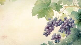 葡萄暖色背景墙