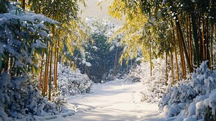 竹林雪景