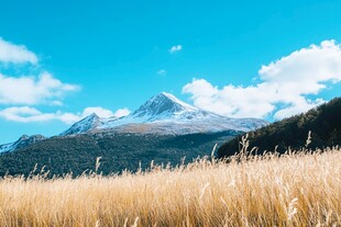 蓼科山