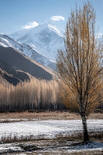 金秋踏雪