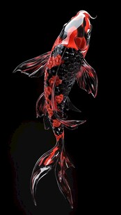 3d红鲤鱼