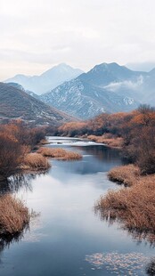 大九湖秋景