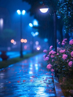 雨夜小路