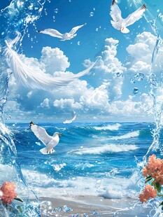 海洋与海鸥