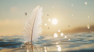 狗尾草暖色背景