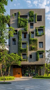 爬满绿色植物的建筑