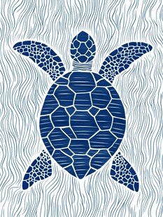 海水龟纹