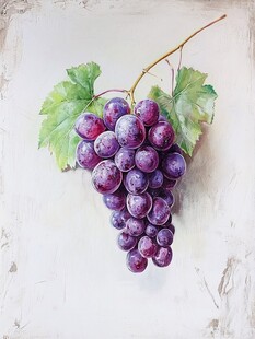 手绘写实葡萄