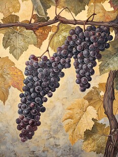 葡萄壁画