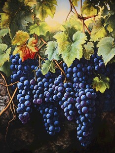 葡萄壁画