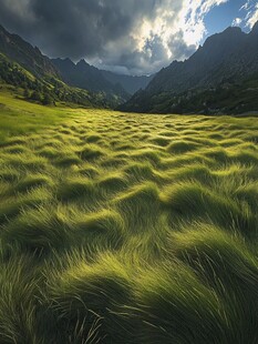 起伏连绵的草地