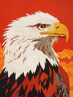雄鹰插画