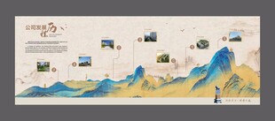 发展历程