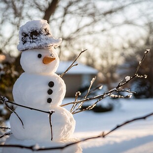 户外小雪人