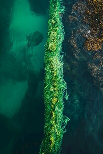 海水海边海岛