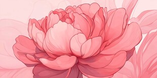 牡丹包装插画