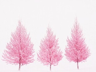 粉红色的超现实树木