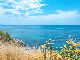 黑海风景区