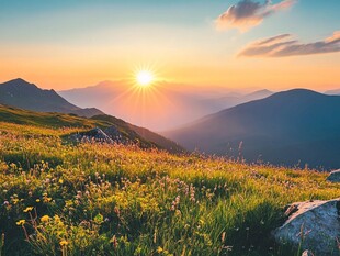 高山草甸日出