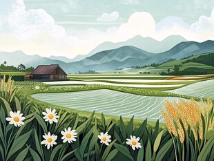农村田野插画