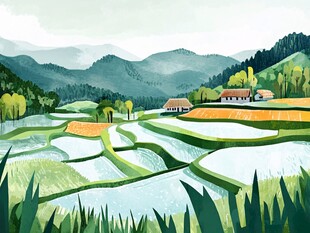 农村田野插画