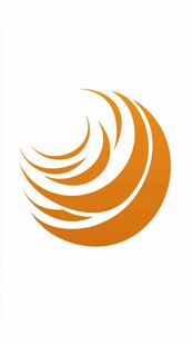 凤凰金融logo