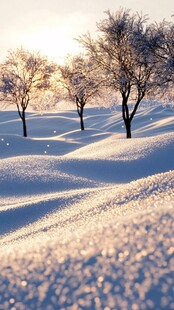 清晨雪景雪原白雪