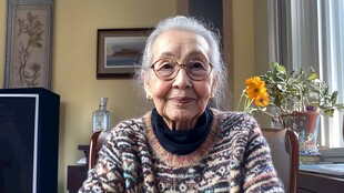 冰心奶奶