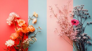 高清背景手工干花