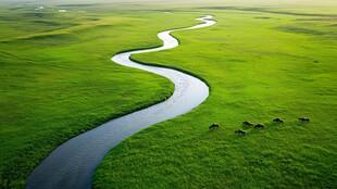 草原蜿蜒河流