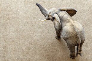 立体感大象壁画