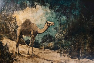 骆驼壁画