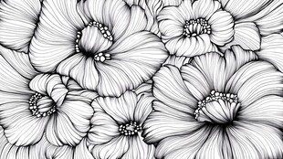 黑白菊花背景