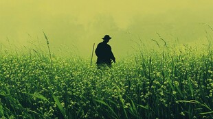 油菜地里的稻草人