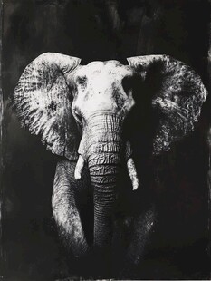 现代画大象