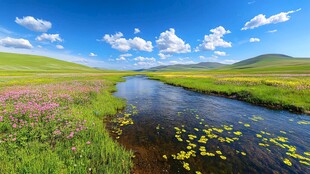 夏季草原野花河流