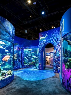 海洋生物展厅