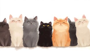 多只猫插画