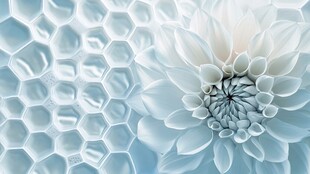 3d立体花壁纸
