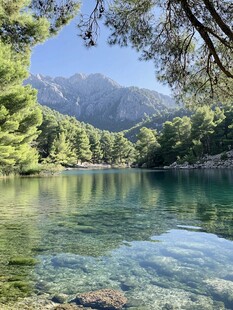 高山湖泊松树