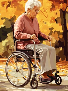 坐轮椅的妇人