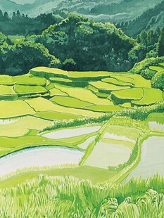 水稻梯田插画