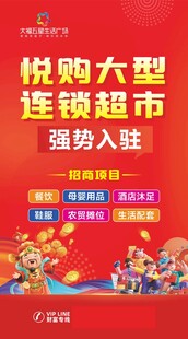 商业招商广告  画册