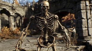 骨骼高清图片素材下载